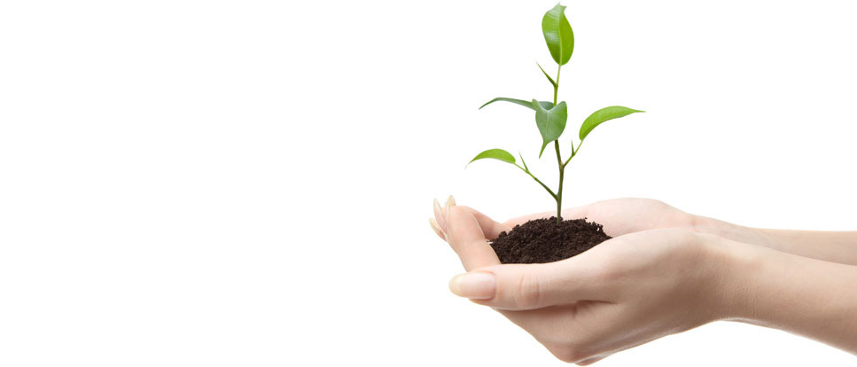 Premier Behavioral Healthcare: Your Health in Good Hands